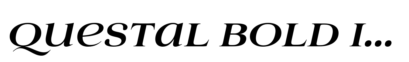 Questal Bold Italic