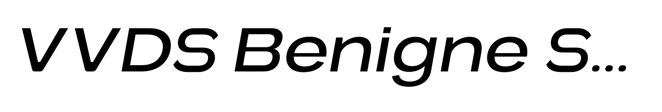 VVDS Benigne Sans Light Italic