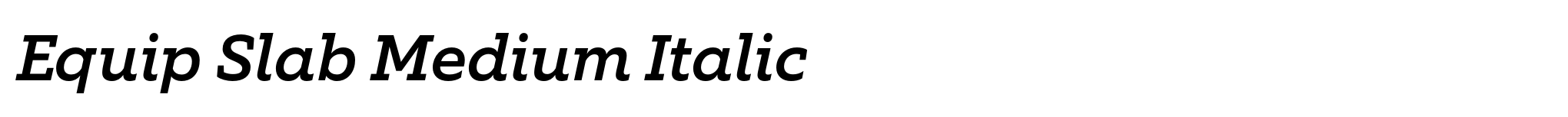 Equip Slab Medium Italic image