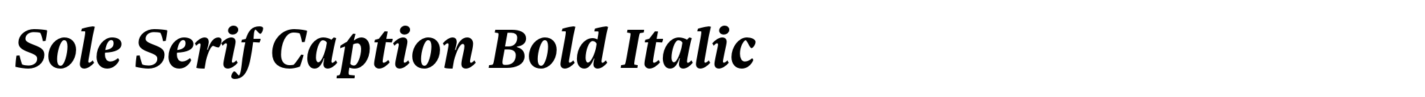 Sole Serif Caption Bold Italic image