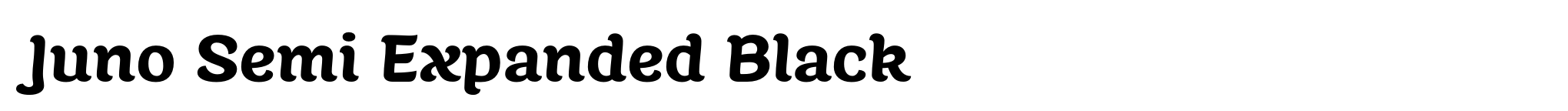 Juno Semi Expanded Black image