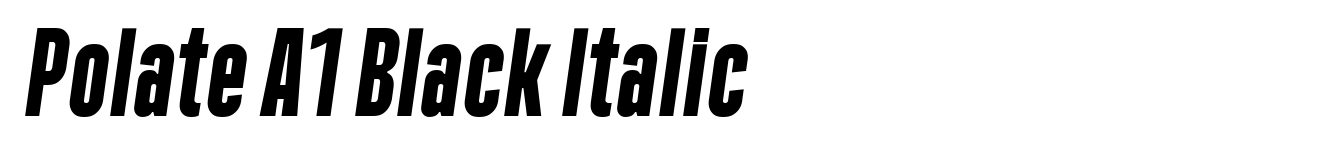 Polate A1 Black Italic