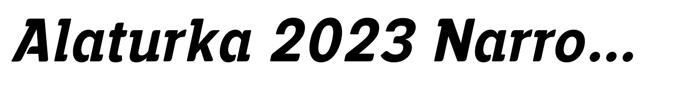 Alaturka 2023 Narrow Bold Italic