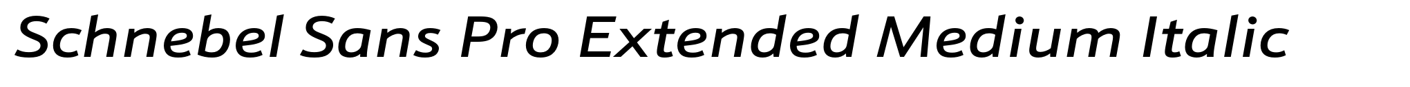Schnebel Sans Pro Extended Medium Italic image