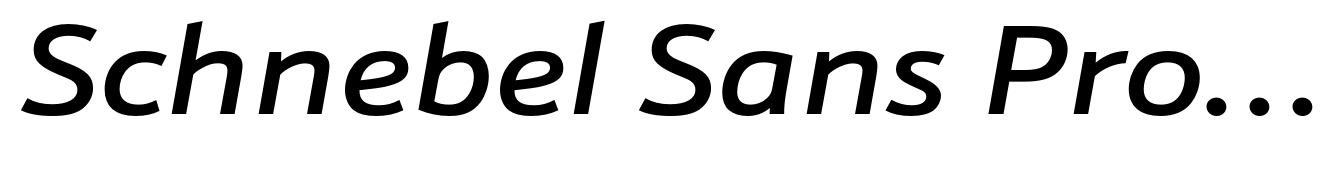 Schnebel Sans Pro Extended Medium Italic