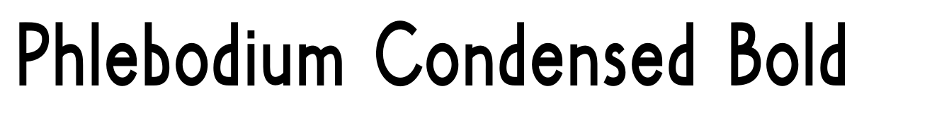 Phlebodium Condensed Bold