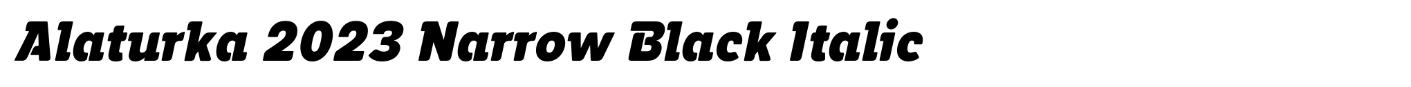 Alaturka 2023 Narrow Black Italic image