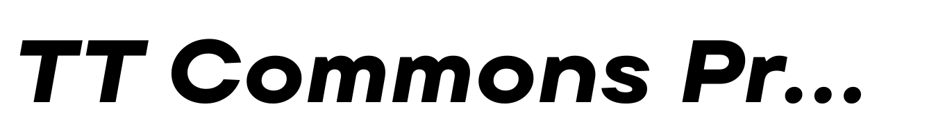 TT Commons Pro Expanded Extra Bold Italic