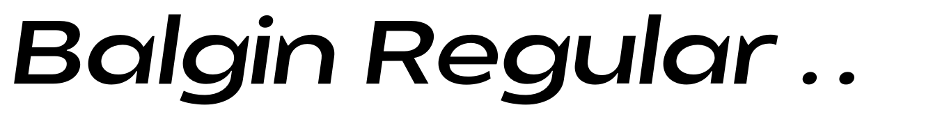 Balgin Regular Sm Expanded Italic