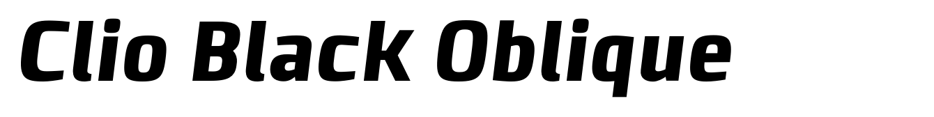 Clio Black Oblique