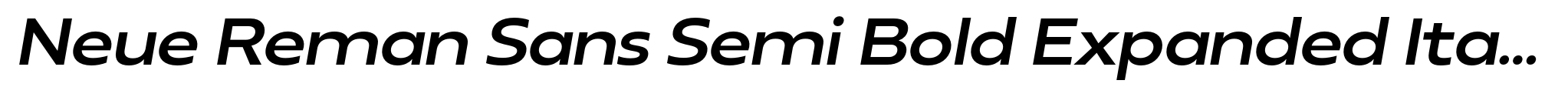 Neue Reman Sans Semi Bold Expanded Italic image