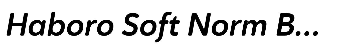 Haboro Soft Norm Bold Italic