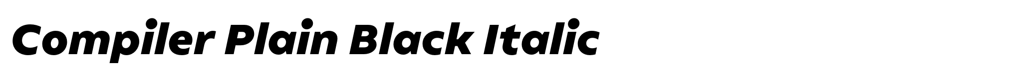Compiler Plain Black Italic image