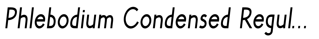 Phlebodium Condensed Regular Italic