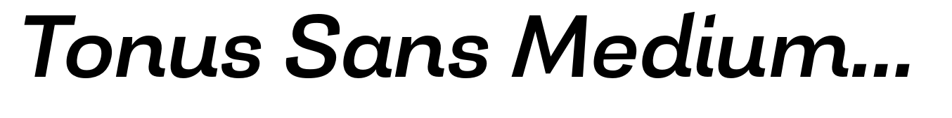 Tonus Sans Medium Italic