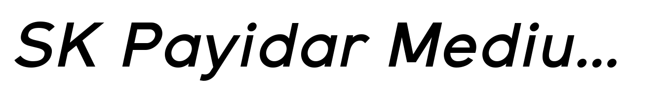 SK Payidar Medium Italic