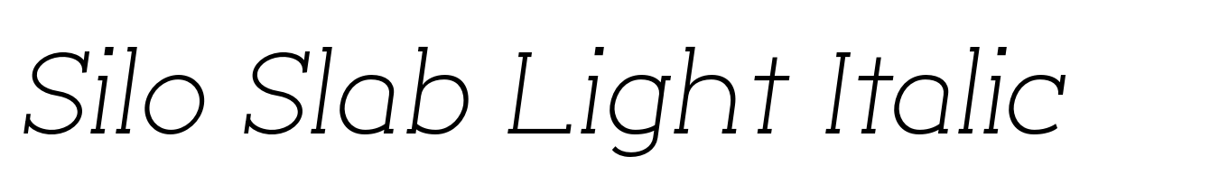 Silo Slab Light Italic
