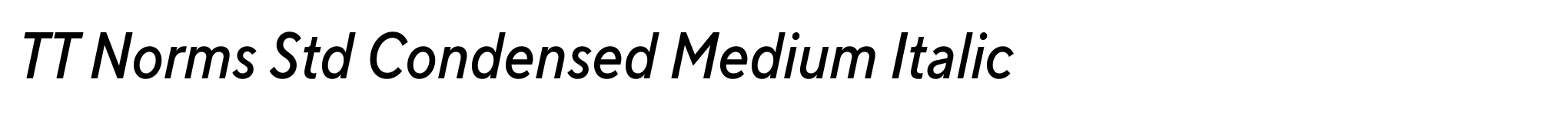 TT Norms Std Condensed Medium Italic image