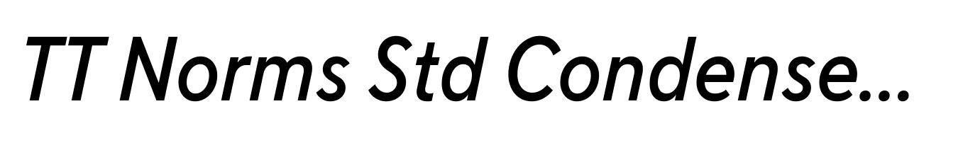 TT Norms Std Condensed Medium Italic