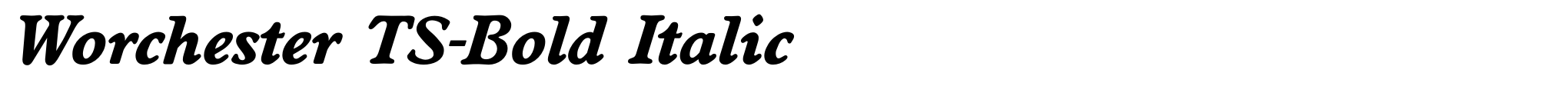 Worchester TS-Bold Italic image