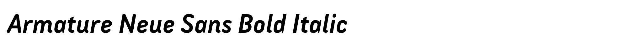 Armature Neue Sans Bold Italic image