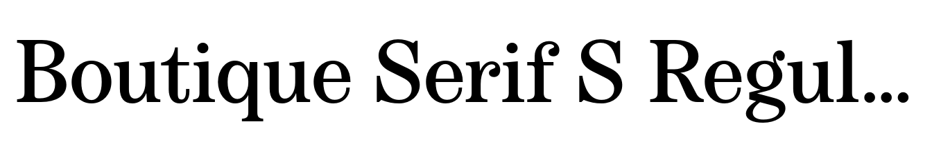 Boutique Serif S Regular