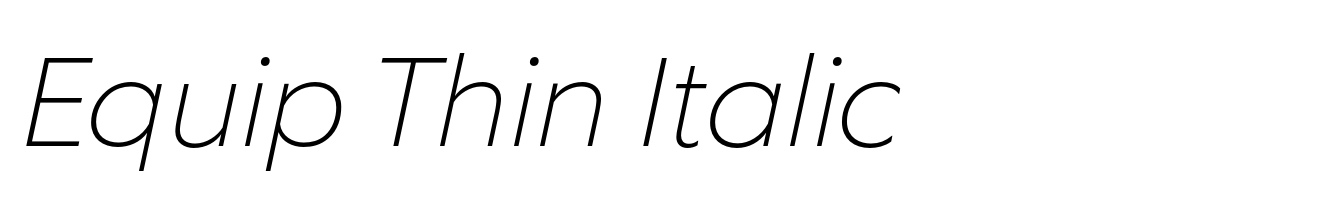 Equip Thin Italic