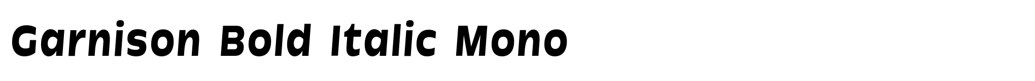 Garnison Bold Italic Mono image