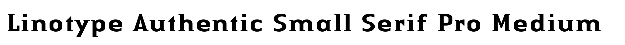 Linotype Authentic Small Serif Pro Medium image