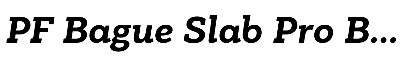 PF Bague Slab Pro Bold Italic