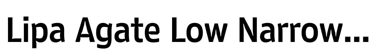 Lipa Agate Low Narrow Bold