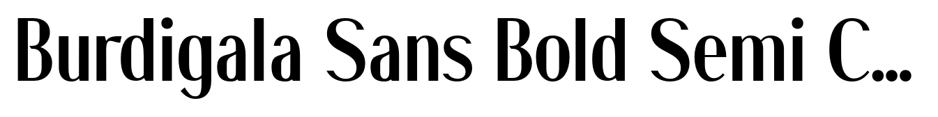 Burdigala Sans Bold Semi Condensed