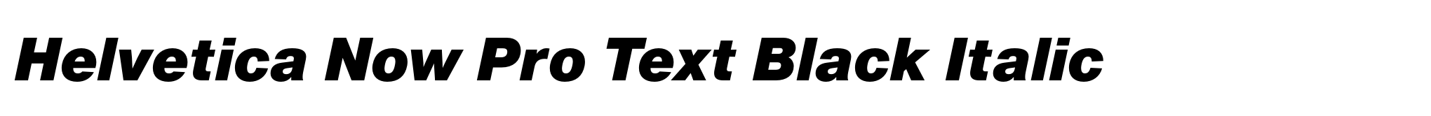 Helvetica Now Pro Text Black Italic image