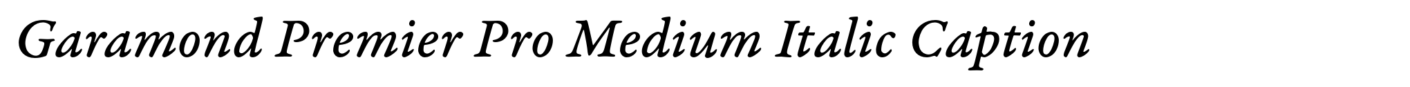 Garamond Premier Pro Medium Italic Caption image