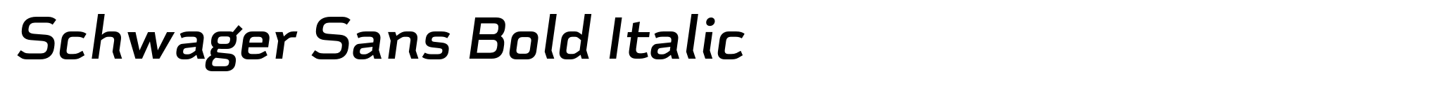 Schwager Sans Bold Italic image