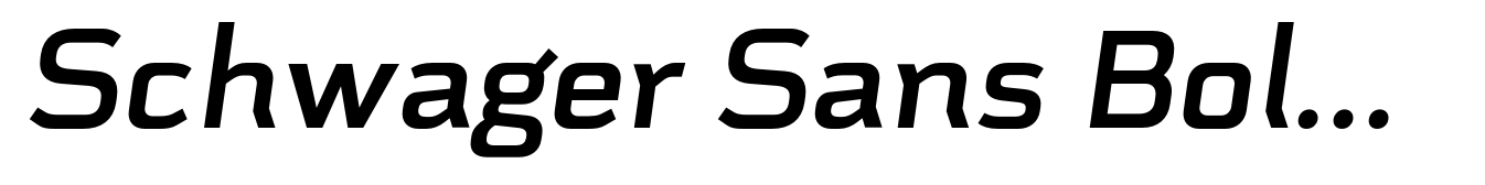 Schwager Sans Bold Italic