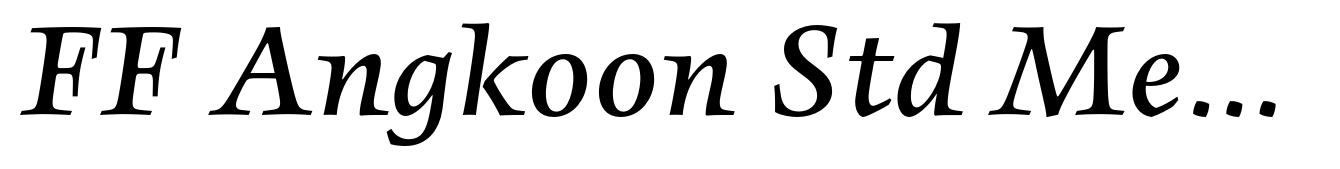 FF Angkoon Std Medium Italic