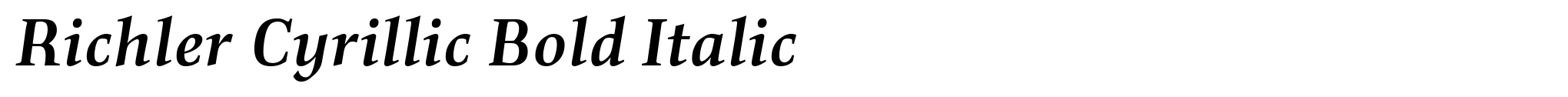 Richler Cyrillic Bold Italic image