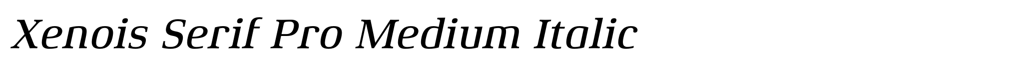 Xenois Serif Pro Medium Italic image