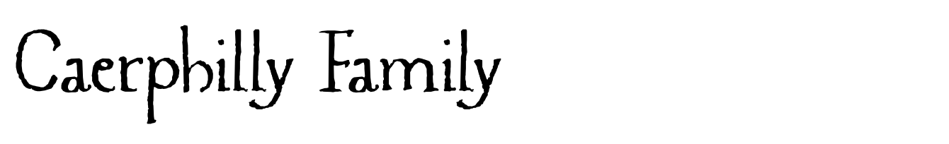 Caerphilly Family