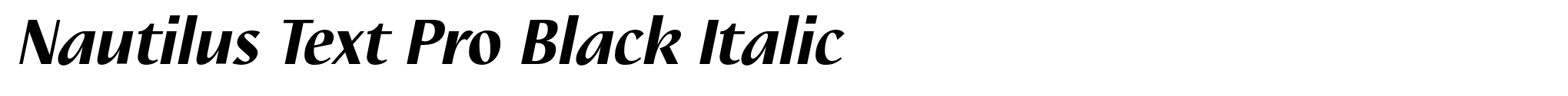 Nautilus Text Pro Black Italic image