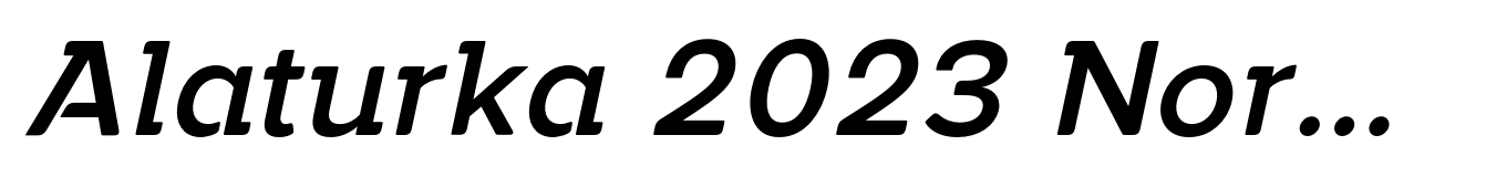Alaturka 2023 Normal Medium Italic