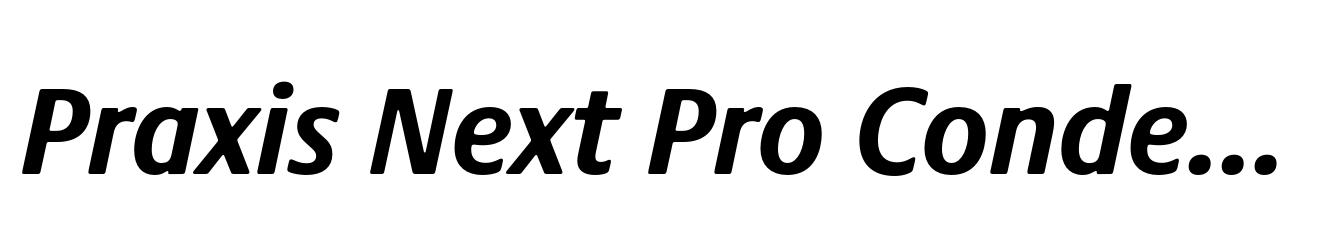 Praxis Next Pro Condensed Bold Italic
