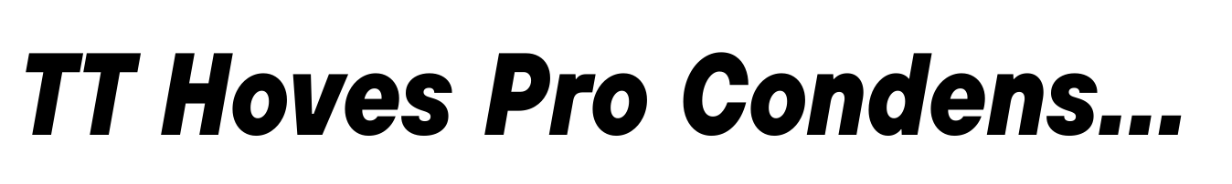 TT Hoves Pro Condensed ExtraBold Italic