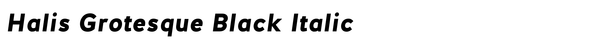 Halis Grotesque Black Italic image