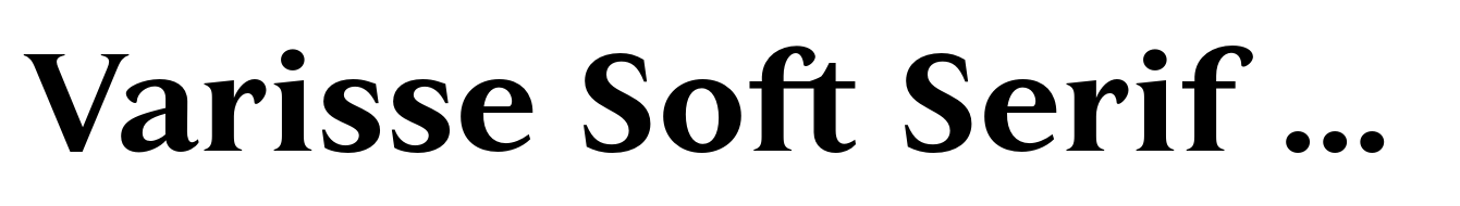 Varisse Soft Serif Bold