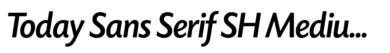 Today Sans Serif SH Medium Italic