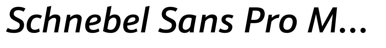 Schnebel Sans Pro Medium Italic