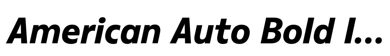 American Auto Bold Italic