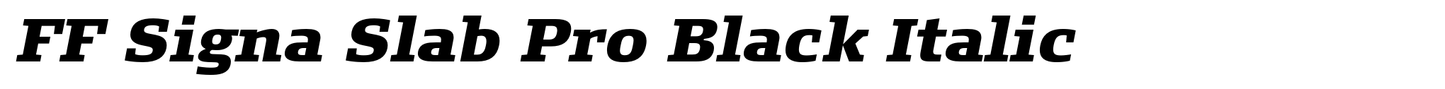 FF Signa Slab Pro Black Italic image